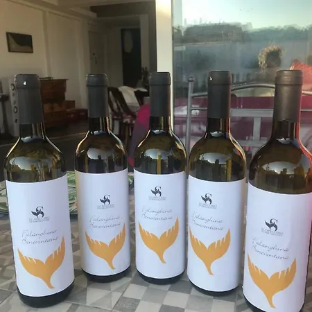 Specchio Di Parthenope Naples