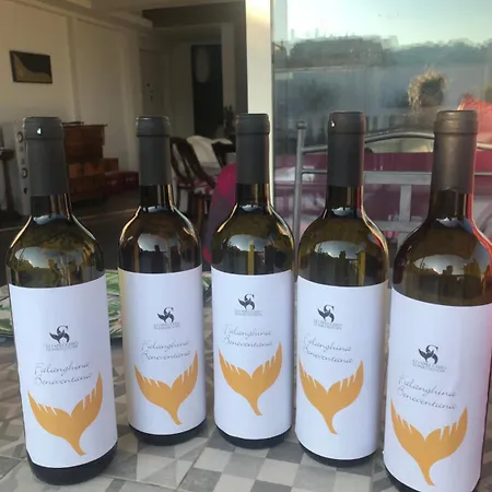 Specchio Di Parthenope Nápoles