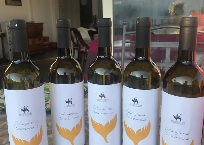 Specchio Di Parthenope Νάπολη