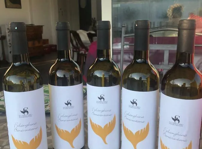 Specchio Di Parthenope Νάπολη